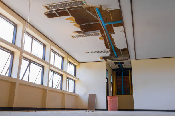 Best Residential water damage restoration  in Wilson Conococheague, MD
