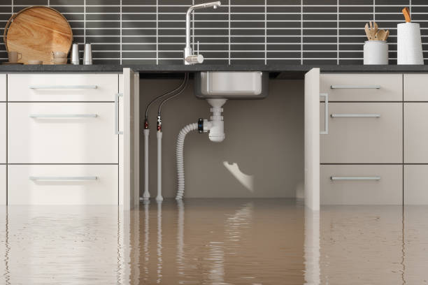 Best Emergency water damage restoration  in Wilson Conococheague, MD