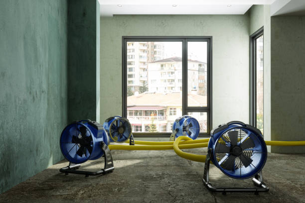 Best Ceiling water damage repair  in Wilson Conococheague, MD